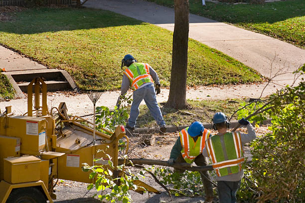 Best Weed Control  in Estero, FL